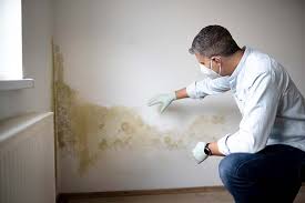 Why You Should Choose Our Mold Remediation Services in Jones Creek, TX